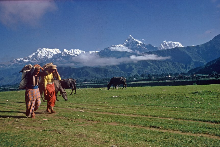 Vägen till Indien. Första resan&nbsp;1969