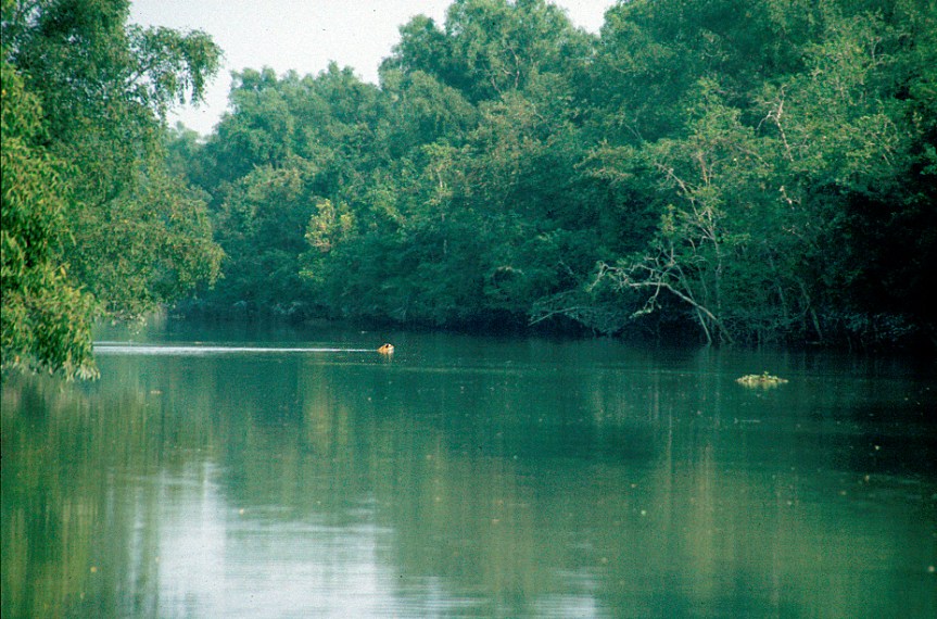 Den höga sannolikheten att                        det osannolika skall&nbsp;inträffa