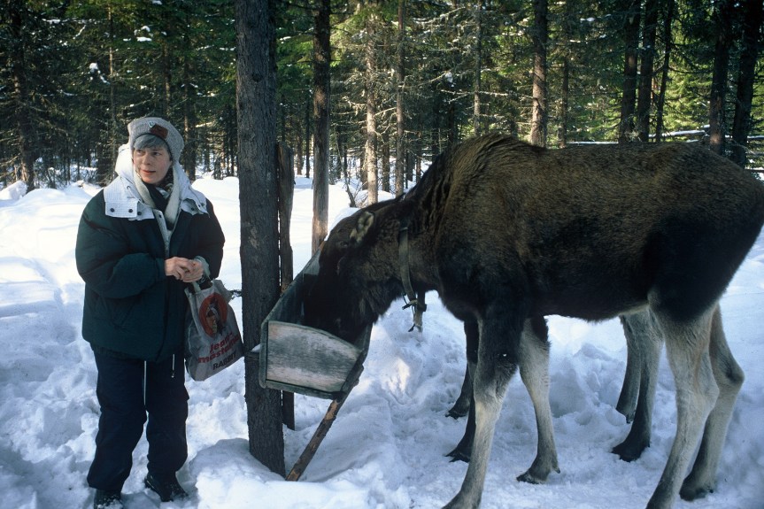 I Ust-Unja tar vägen&nbsp;slut