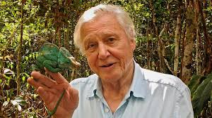 David attenborough